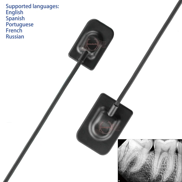 2024 Hot Sale RVG Dental Sensor with Holder Faster/Recycle/Durable USB Dental X Ray Sensor IntraOral Camera Digital RVG Sensor - Image 6