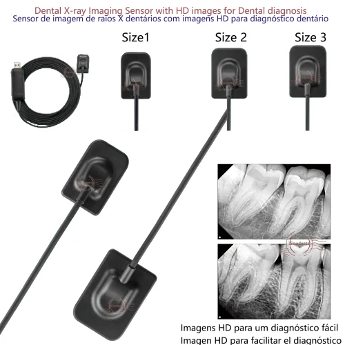 2024 Hot Sale RVG Dental Sensor with Holder Faster/Recycle/Durable USB Dental X Ray Sensor IntraOral Camera Digital RVG Sensor