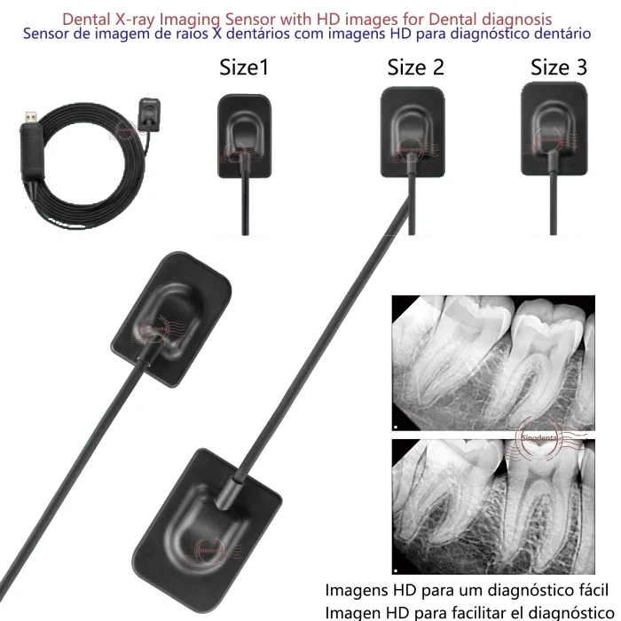 2024 Hot Sale RVG Dental Sensor with Holder Faster/Recycle/Durable USB Dental X Ray Sensor IntraOral Camera Digital RVG Sensor